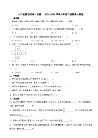 小升初模拟试卷（试题）-2023-2024学年六年级下册数学人教版
