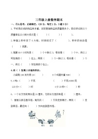 期末测试（试题）-2023-2024学年三年级上册数学青岛版