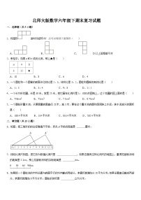 期末复习试题(试题)-2023-2024学年六年级下册数学北师大版