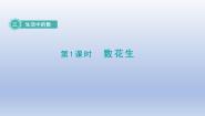 北师大版一年级下册数花生教课内容ppt课件