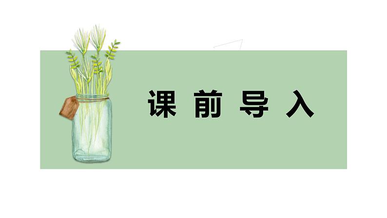 【同步备课】第四单元 第一课时 简单的统计表和条形统计图(课件) 四年级数学上册(苏教版)03