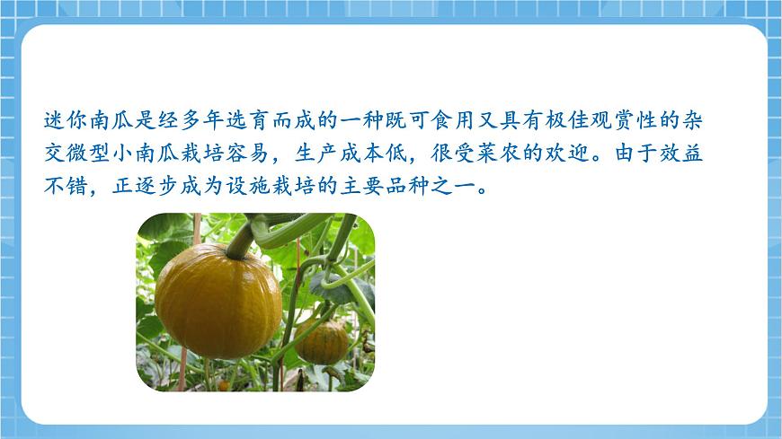 蘇教版數(shù)學(xué)三年級(jí)下冊(cè)1.2《兩位數(shù)乘兩位數(shù)的筆算（不進(jìn)位）》（教學(xué)課件）第5頁(yè)