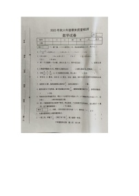 河南省洛阳市2023-2024学年六年级上学期期末数学试题