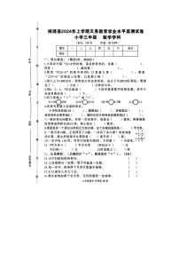 湖南省常德市桃源县2023-2024学年三年级下学期期末数学试卷