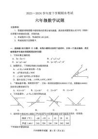 [数学][期末]山东省泰安市肥城市(五四学制)2023～2024学年六年级下学期期末考试数学试题(无答案)
