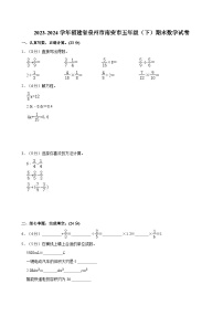 2023-2024学年福建省泉州市南安市五年级（下）期末数学试卷