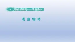 2024二年级数学下册五谁的眼睛亮-观察物体课件（青岛版六三制）