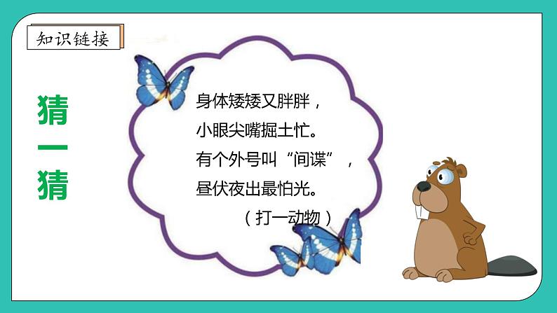 北师大版四年级上册备课包-数学好玩3. 数图形的学问(课件+教案+学案+习题)07