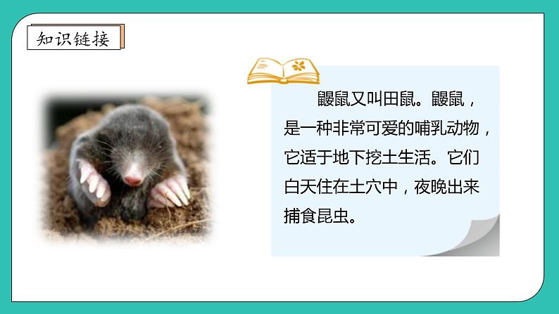 北师大版四年级上册备课包-数学好玩3. 数图形的学问(课件+教案+学案+习题)08