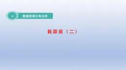 2024四年级数学下册第六单元数据的表示和分析3栽蒜苗二课件（北师大版）