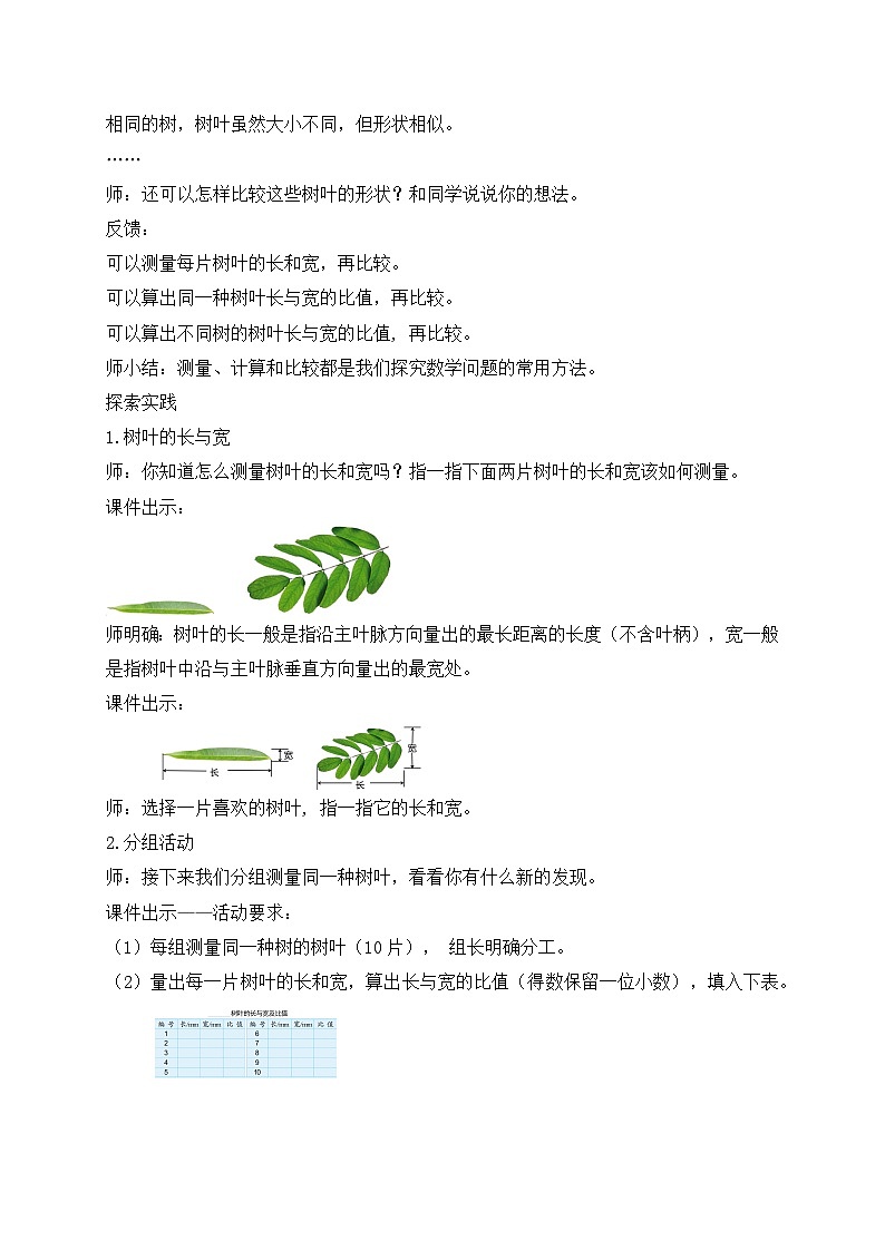 【核心素养】苏教版数学六年级上册-3.9 树叶中的比(教案有反思)第3页
