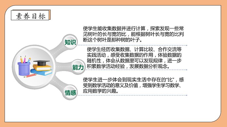 【核心素养】苏教版数学六年级上册-3.9 树叶中的比(课件)第4页