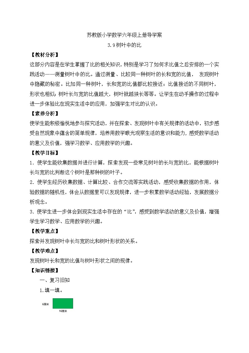 【核心素养】苏教版数学六年级上册-3.9 树叶中的比(导学案)第1页