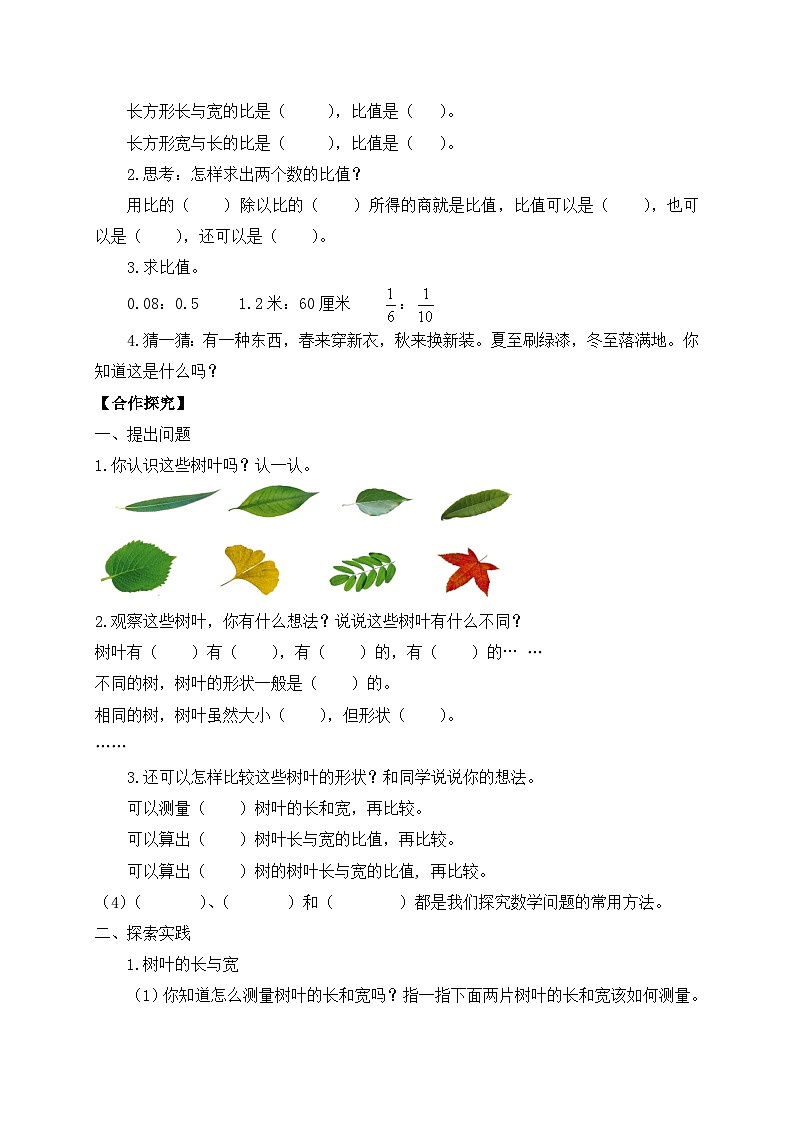 【核心素养】苏教版数学六年级上册-3.9 树叶中的比(导学案)第2页