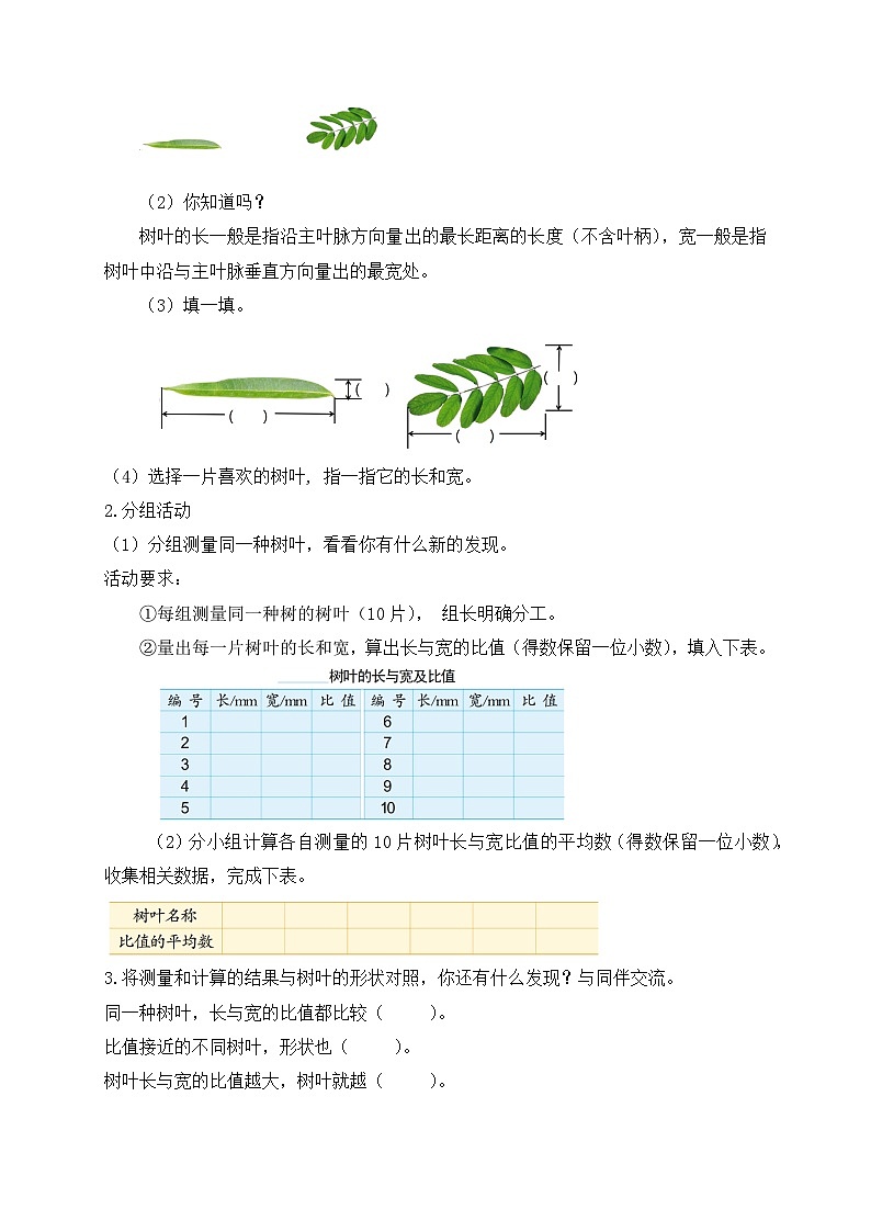 【核心素养】苏教版数学六年级上册-3.9 树叶中的比(导学案)第3页