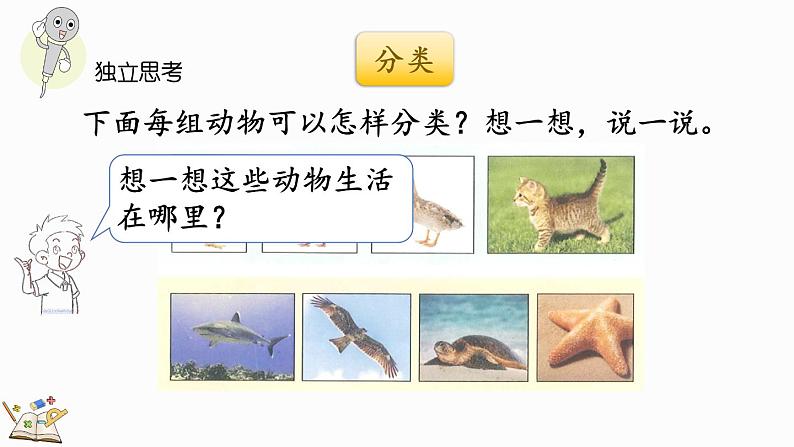 北师大版(2024)一年级数学上册课件 总复习(3) 统计与概率06