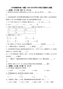 小升初模拟试卷（试题）-2023-2024学年六年级下册数学人教版