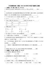 小升初模拟试卷(试题)-2023-2024学年六年级下册数学人教版