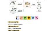 小学数学人教版五年级上册7 数学广角——植树问题课时练习