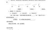 小学数学北师大版四年级上册二 线与角1 线的认识优质导学案及答案