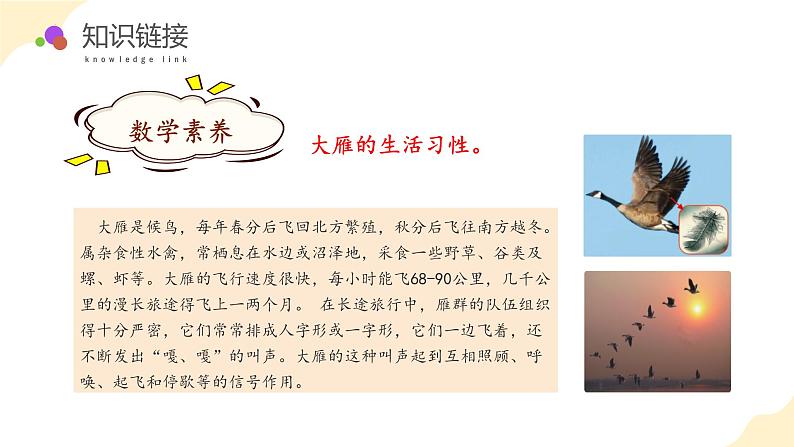 苏教版三年级上册数学 教学课件)第一单元第四课时 两、三位数乘一位数(不进位)第7页