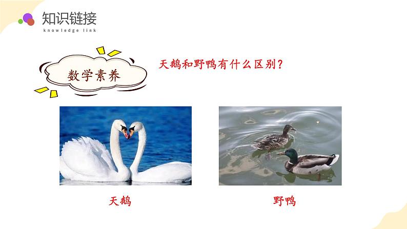 苏教版三年级上册数学 教学课件)第一单元第六课时 两、三位数乘一位数(连续进位)第7页