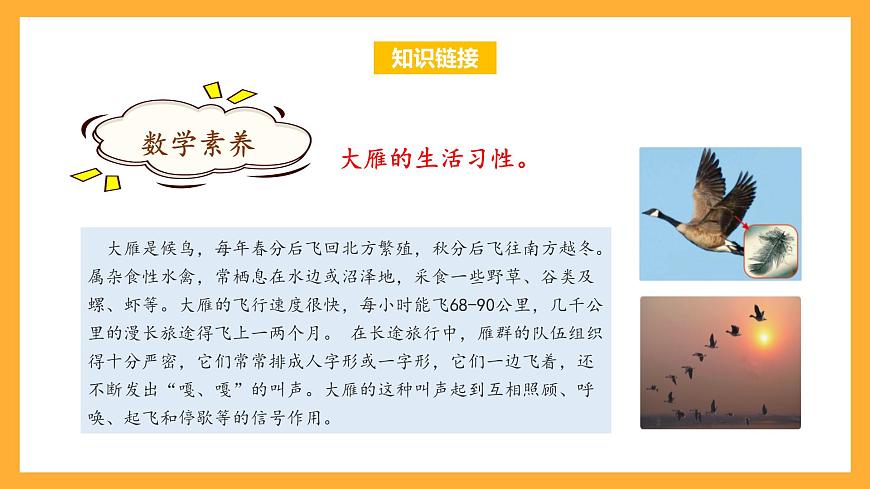 蘇教版三年級數(shù)學(xué)上冊 第一單元第4課時《兩、三位數(shù)乘一位數(shù)（不進(jìn)位）》課件第6頁