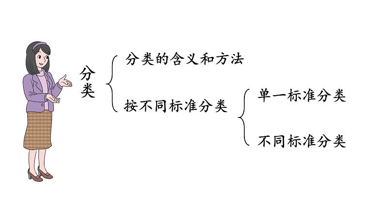 小学数学新北师大版一年级上册总复习第3课时《统计与概率》教学课件(2024秋)第3页