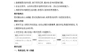 小学数学人教版（2024）五年级上册等式的性质教案及反思