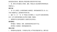 小学数学人教版（2024）四年级上册线段、直线、射线第一课时教案