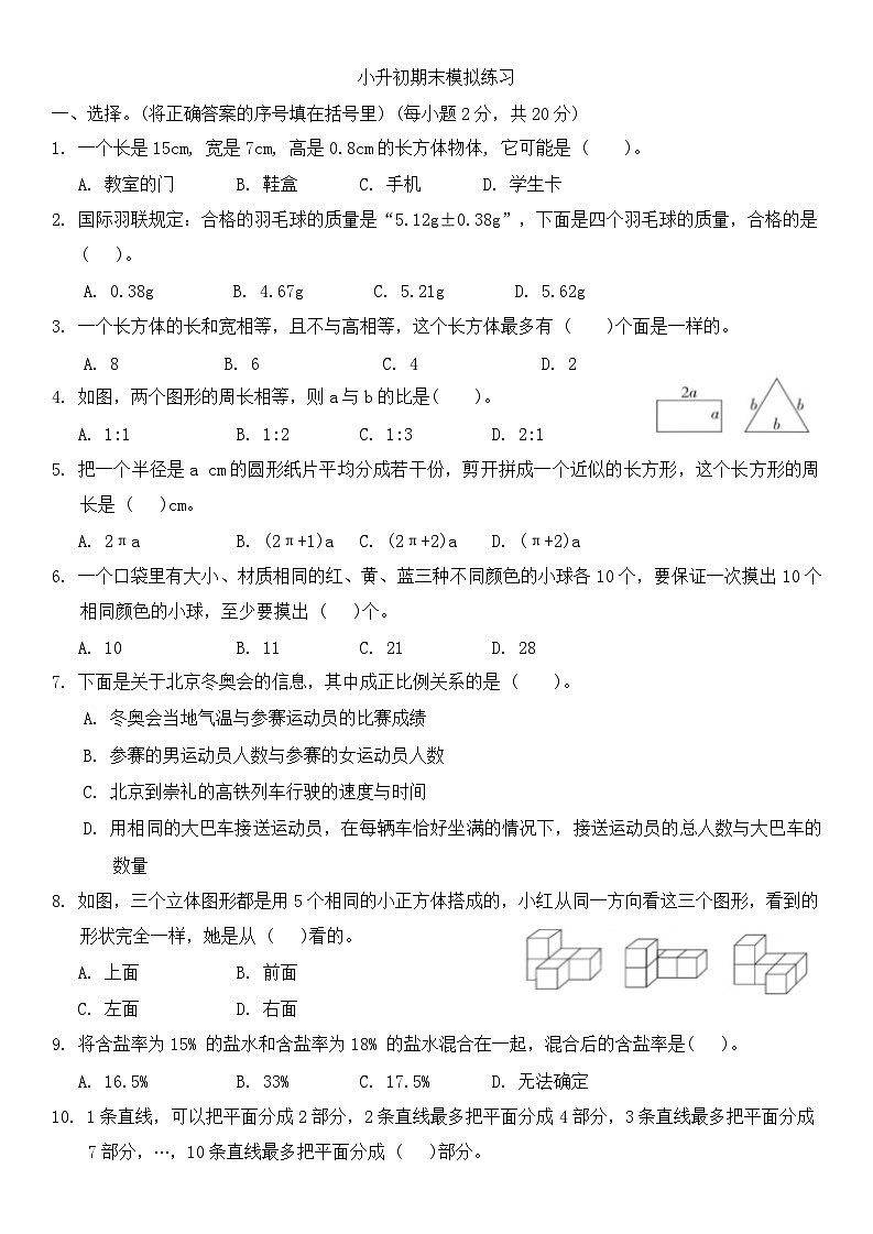 小升初期末模拟练习-2023-2024学年六年级数学下册北京版第1页