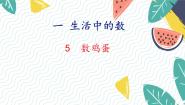 北师大版（2024）数鸡蛋课文ppt课件
