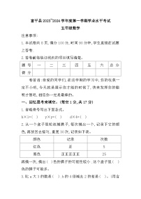 陕西省渭南市富平县2023-2024学年五年级上学期期末数学试题