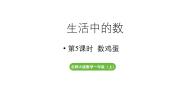 小学数学北师大版（2024）一年级上册（2024）数鸡蛋教学ppt课件