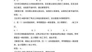 小学数学北师大版（2024）四年级上册1 线的认识达标测试
