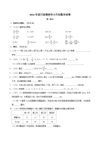 四川省雅安市2023-2024学年六年级下学期期末数学试卷