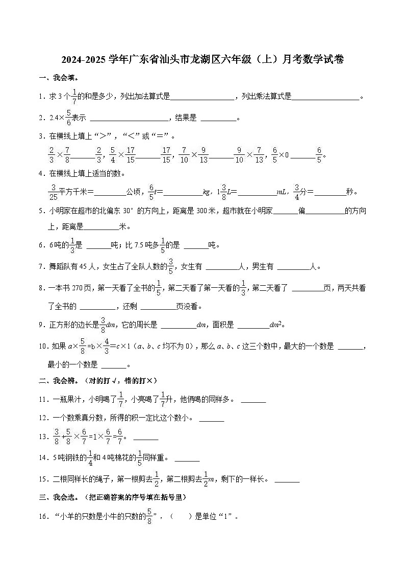 2024-2025学年广东省汕头市龙湖区六年级(上)月考数学试卷第1页