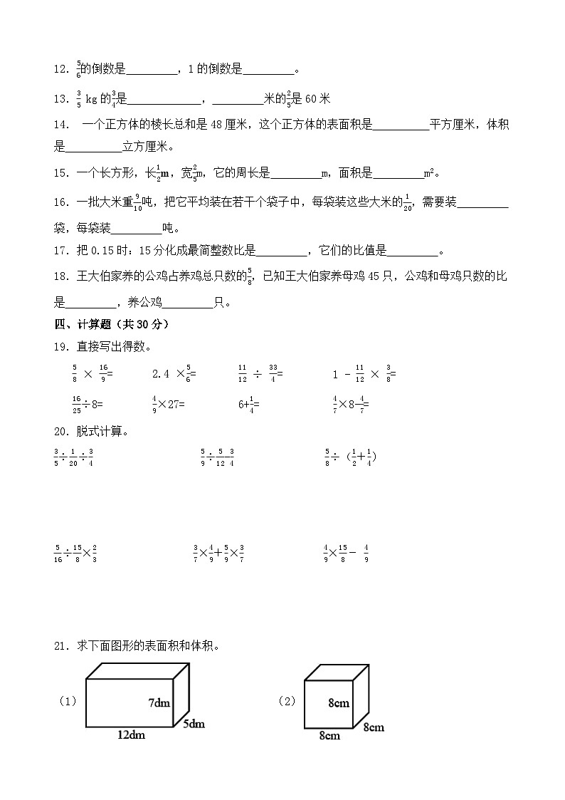 2024-2025学年六年级(上)期中数学测试卷(苏教版)第2页
