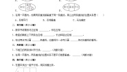 北师大版（2024）四年级上册2 相交与垂直复习练习题