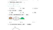 北师大版（2024）四年级上册1 线的认识课堂检测