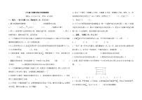 期中培优测试卷（1~4单元）（试题）-2024-2025学年六年级上册数学人教版
