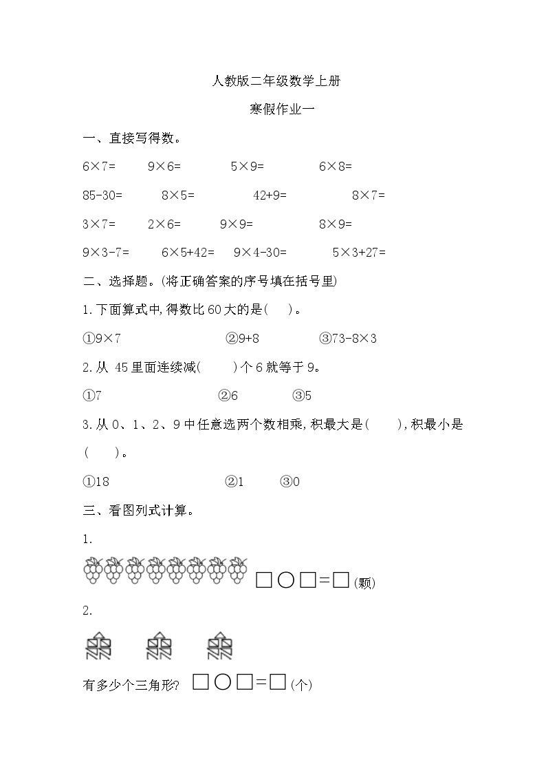 寒假作业（假期作业）二年级上册数学人教版 (5)