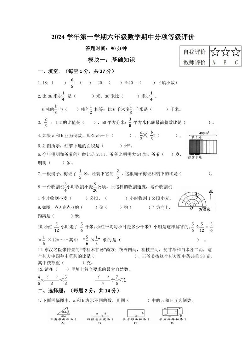 浙江省杭州市临平区2024~2025学年六年级(上)期中数学试卷(含答案,答案卡)第1页