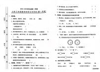 广东省汕头市金平区多校2023-2024学年三年级上学期期中数学试题