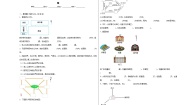 小学数学冀教版（2024）三年级下册三 辨认方向同步训练题