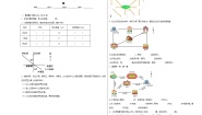 小学数学冀教版（2024）三年级下册三 辨认方向练习题