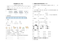 期中试卷（试题）-2024-2025学年一年级上册数学人教版