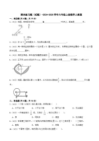 期末练习题（试题）-2024-2025学年六年级上册数学人教版