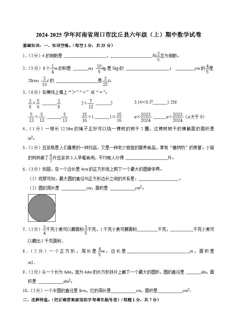 河南省周口市沈丘县2024-2025学年六年级上学期期中数学试卷第1页