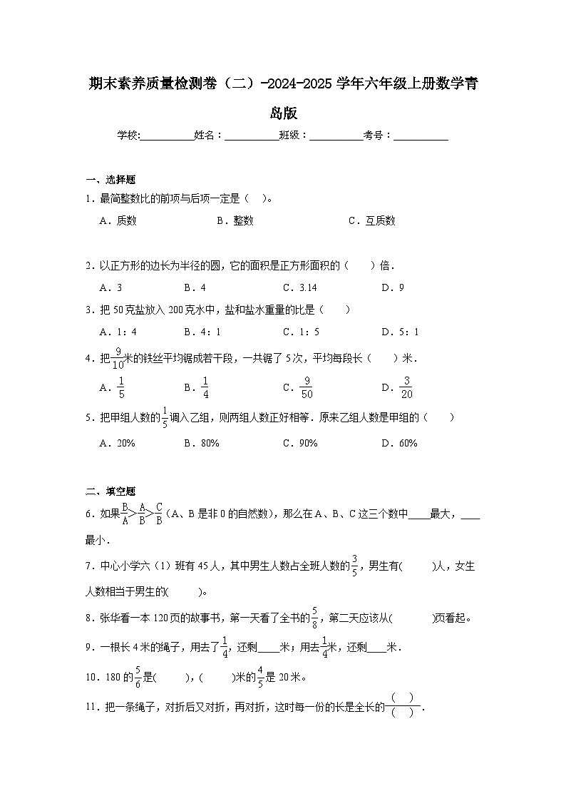 期末素养质量检测卷(试题)-2024-2025学年六年级上册数学青岛版第1页